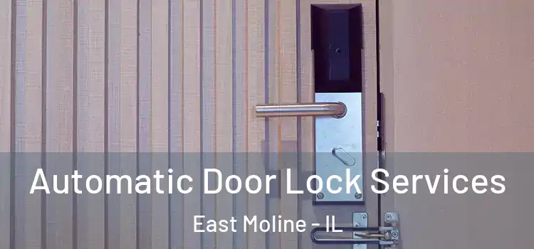 Automatic Door Lock Services East Moline - IL