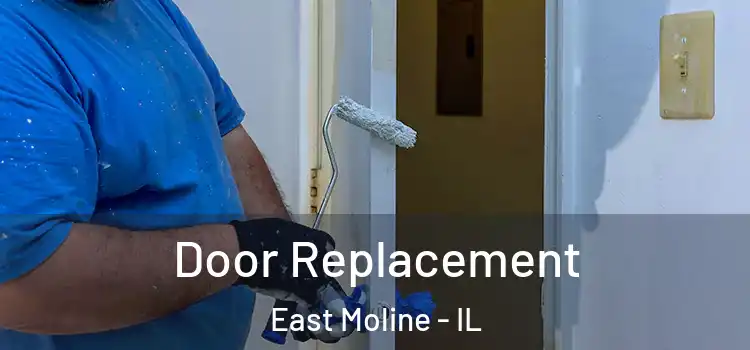 Door Replacement East Moline - IL