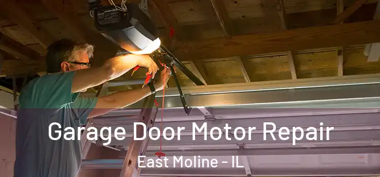  Garage Door Motor Repair East Moline - IL
