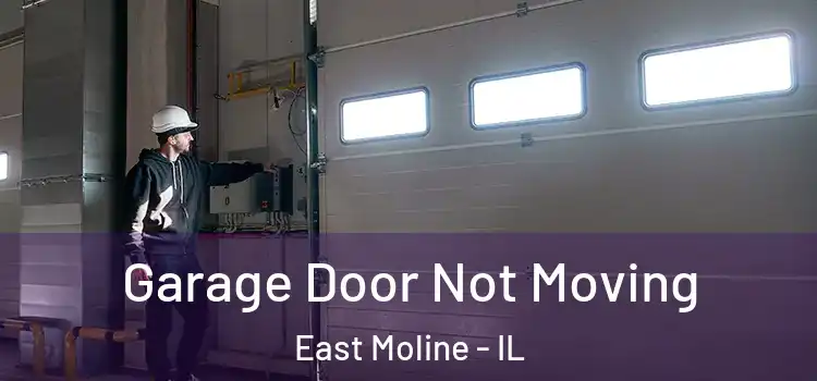  Garage Door Not Moving East Moline - IL
