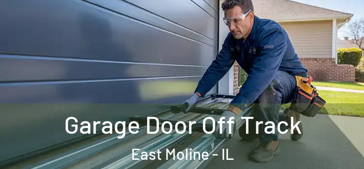  Garage Door Off Track East Moline - IL