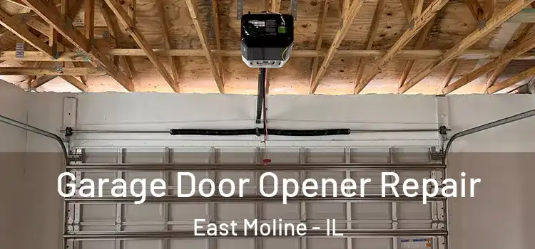  Garage Door Opener Repair East Moline - IL