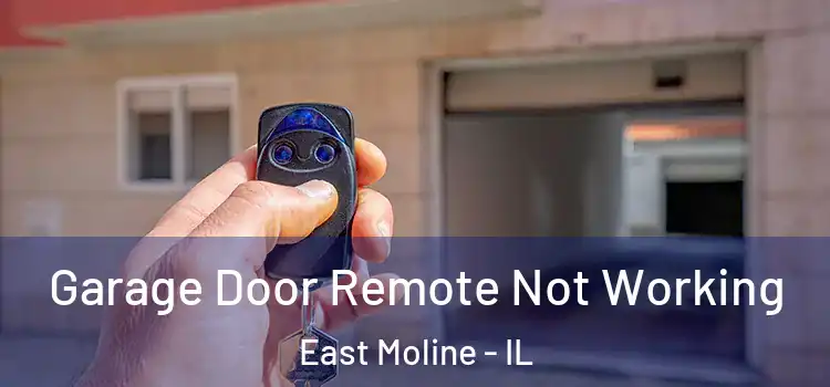  Garage Door Remote Not Working East Moline - IL