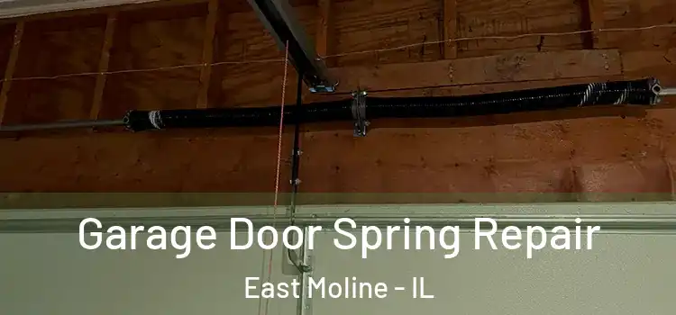  Garage Door Spring Repair East Moline - IL