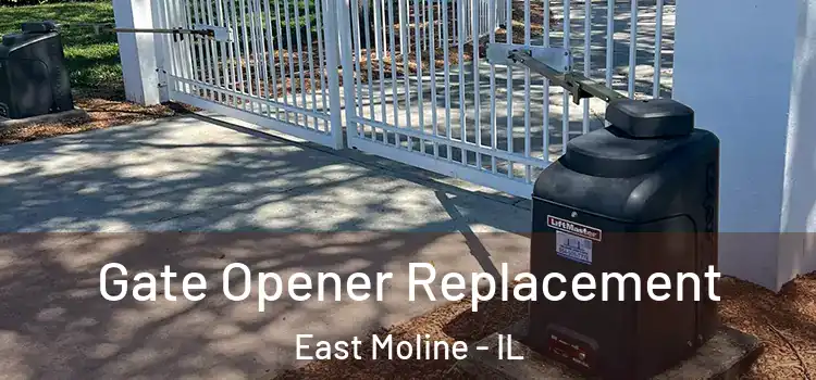  Gate Opener Replacement East Moline - IL