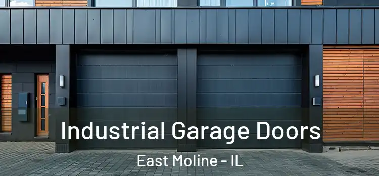  Industrial Garage Doors East Moline - IL