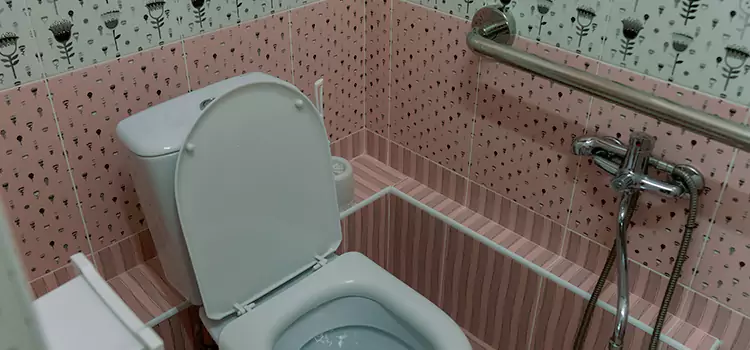 Meeting Diverse Needs With Accessible Restroom Solutions in East Moline, IL