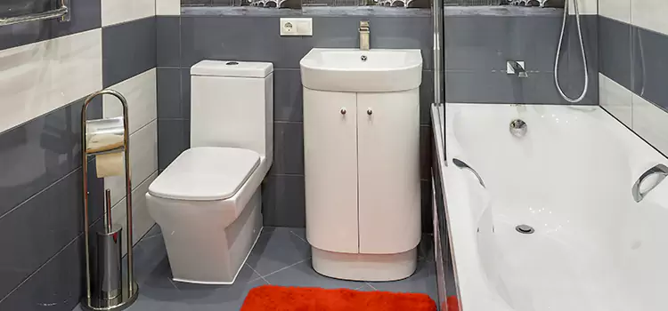 Hansgrohe Shaving Mirror East Moline