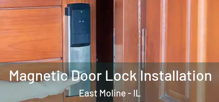  Magnetic Door Lock Installation East Moline - IL