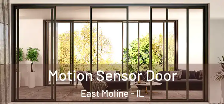 Motion Sensor Door East Moline - IL