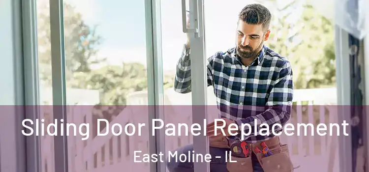  Sliding Door Panel Replacement East Moline - IL