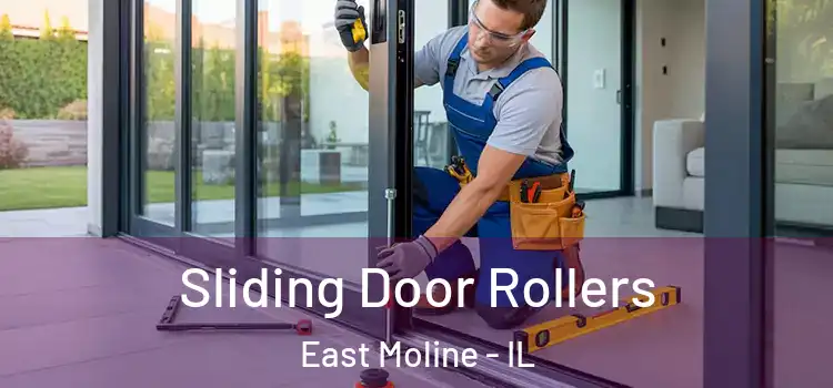  Sliding Door Rollers East Moline - IL