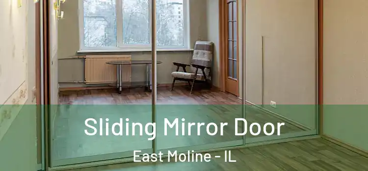  Sliding Mirror Door East Moline - IL