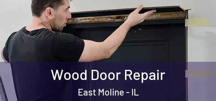  Wood Door Repair East Moline - IL